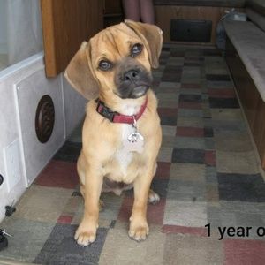 Meet your Posher, Rachelle